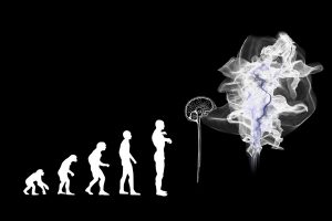 evolution, artificial intelligence, brain-3885331.jpg